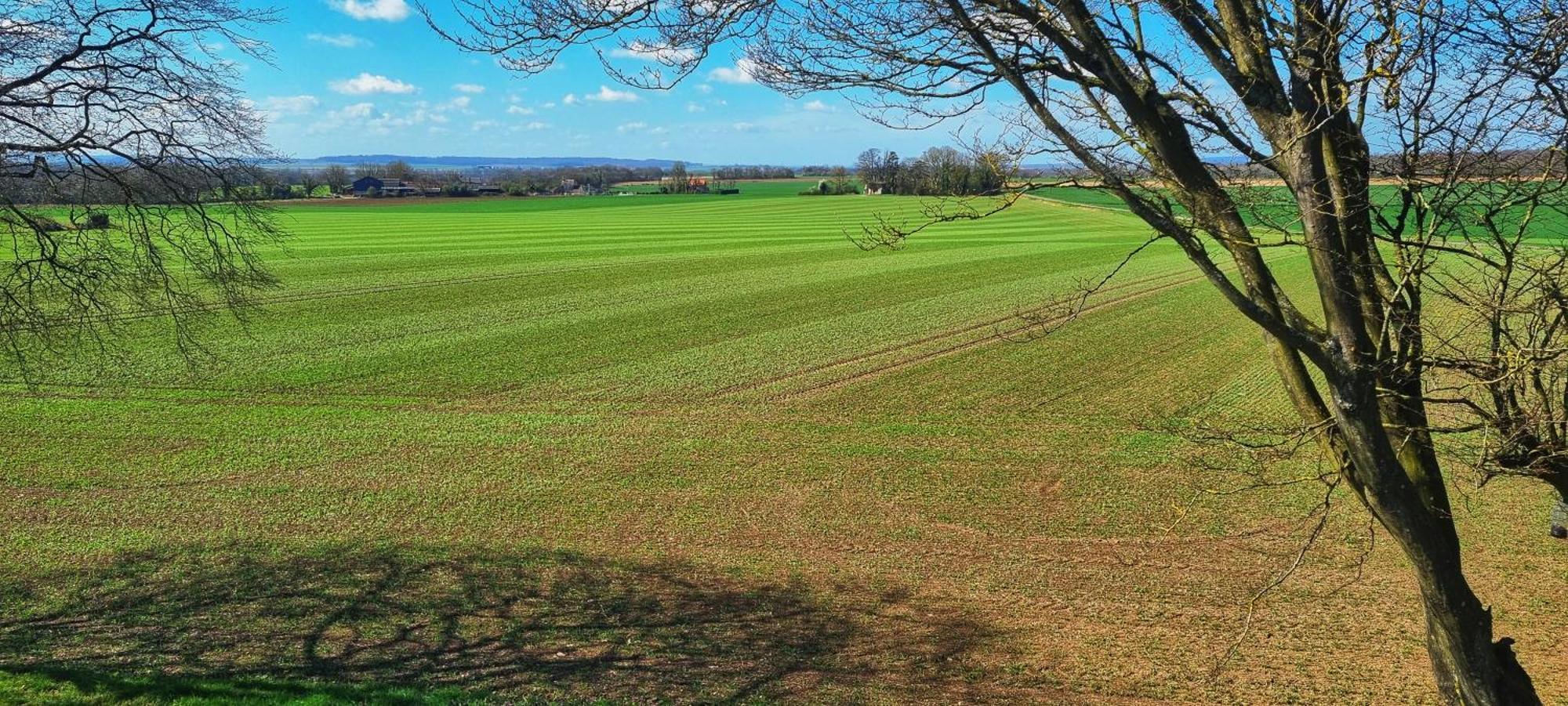 Gite Du Grand Frene Orrouy Exterior foto