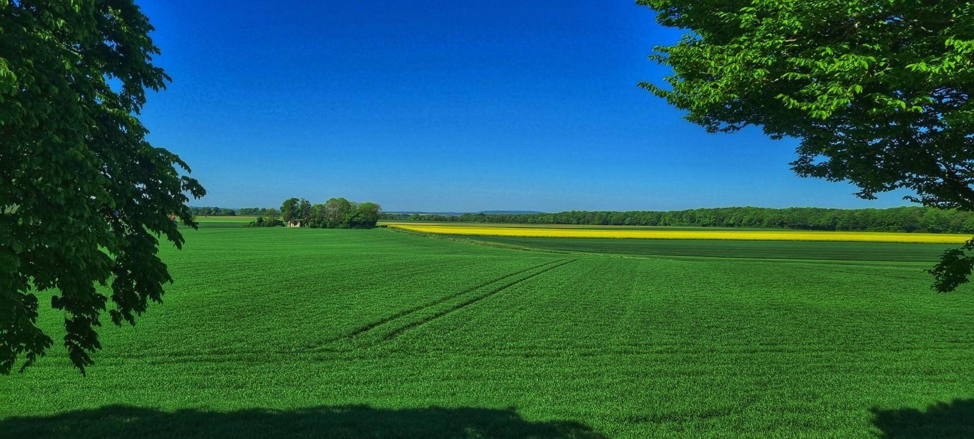 Gite Du Grand Frene Orrouy Exterior foto