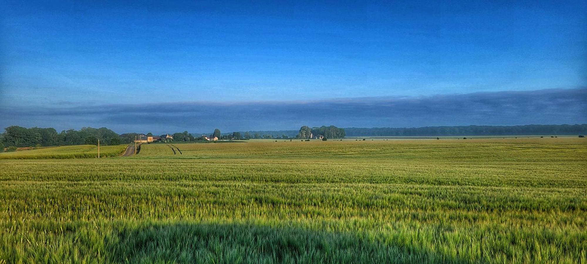 Gite Du Grand Frene Orrouy Exterior foto